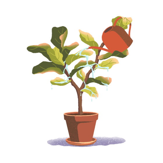 Self-watering plant